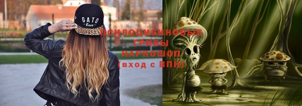 молекула духа Мегион