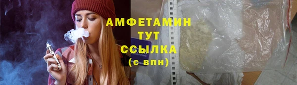 молекула духа Мегион