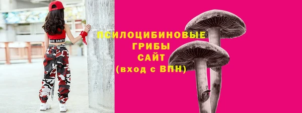 молекула духа Мегион