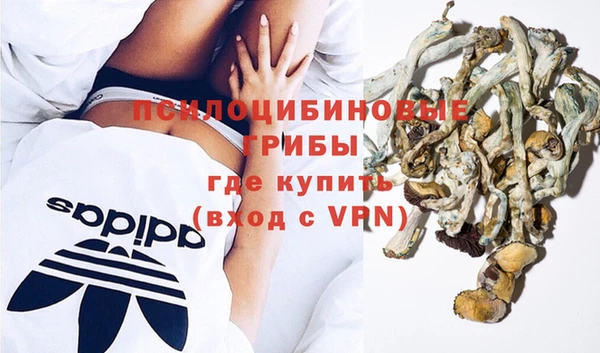 стафф Медногорск