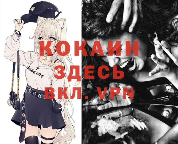 молекула духа Мегион