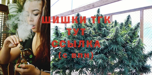 молекула духа Мегион