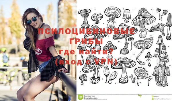 стафф Медногорск