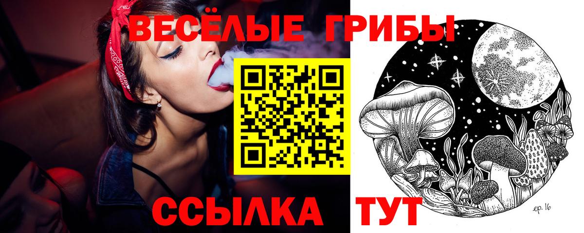 Псилоцибиновые грибы Cubensis Октябрьский
