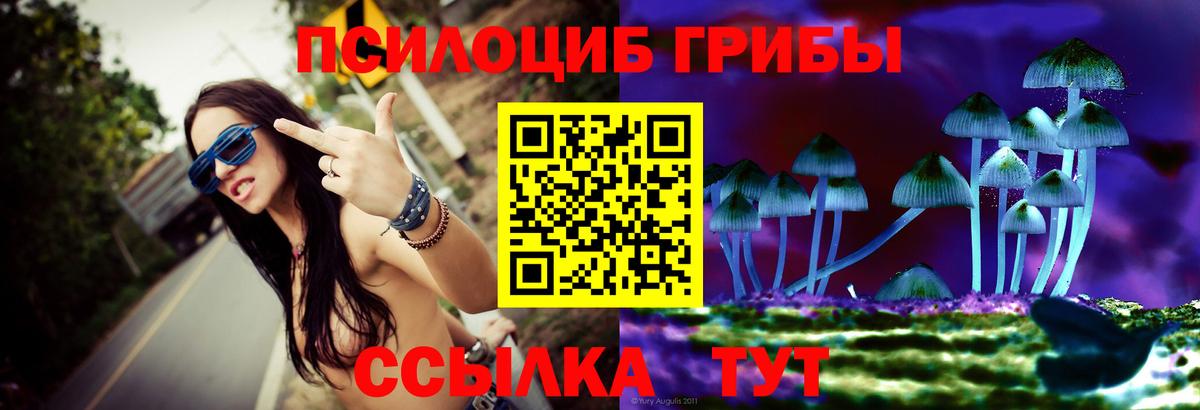 Псилоцибиновые грибы мухоморы Октябрьский